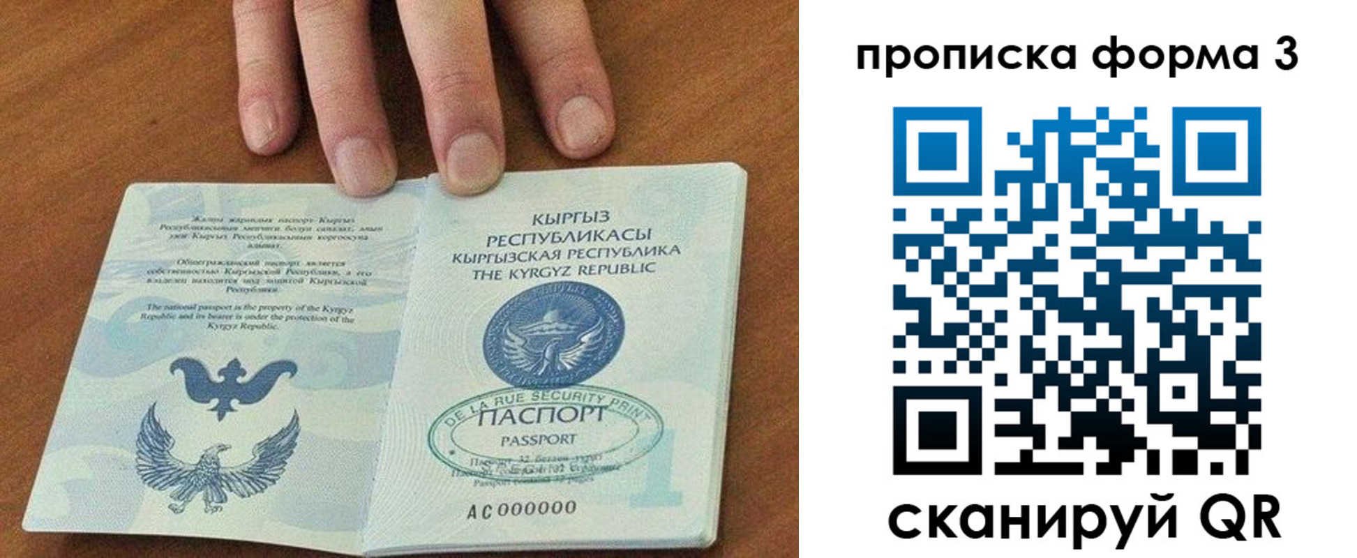 прописка 2025 в Порхове